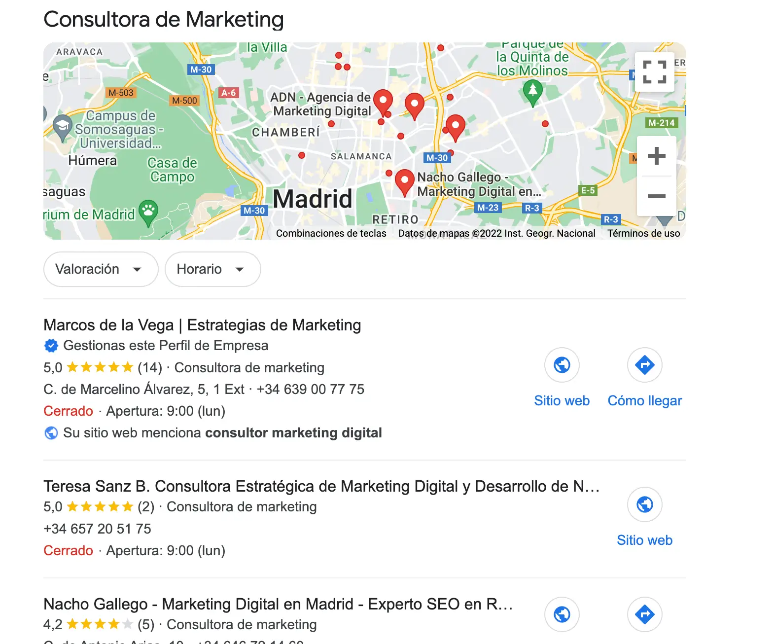 Resultados-búsqueda-consultor-marketing-digital-en-Google-Maps